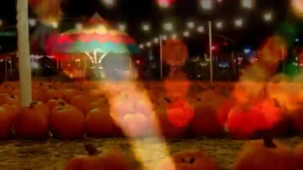 Filas de calabazas en un festival de temporada de otoño de noche — Vídeos de Stock