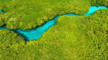 Tulum'daki Casa Cenote'un havadan görünümü, Quintana Roo, Meksika