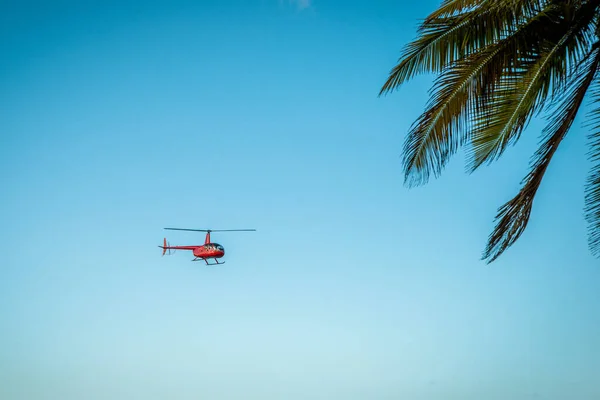 Червоний Вертоліт Блакитному Небі Закриті Гілки Пальми — стокове фото