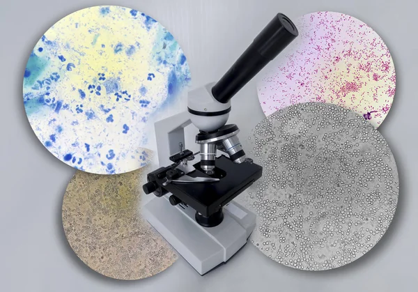arka plandaki mikroskoptan görüntüler içeren bir mikroskop fotoğrafı