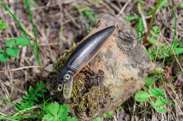 Fiske tillbehör. Grannlåt och beten liggande på en sten med skogs bakgrund — Stockfoto