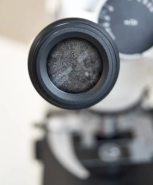 Microscope view of aerobic fungi - Aspergillus niger. Selective focus on the eyepiece — Stock Photo, Image