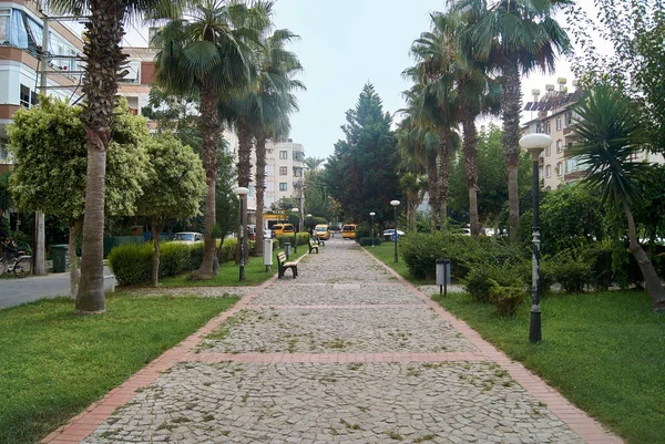 トルコの夏の路地。アランヤのタイル舗装とヤシの木 — ストック写真