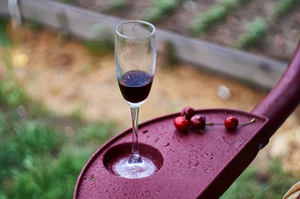 花园后面的一杯红酒和一个樱桃 — 图库照片#