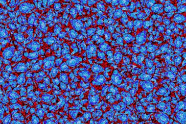 soyut meyve sanatı mavi arkaplan