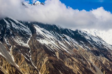 Nepal Annapurna bölgesi önemli turistik yerlerinden biridir. Dağlar, insan geleneksel yerleşim, flora ve fauna ve dağların üzerinde uçan kuşlar görkemli cazibe vardır.  