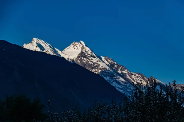 Der Frühmorgendliche Blick Auf Die Berge Durch Das Grüne Gersten — Stockfoto