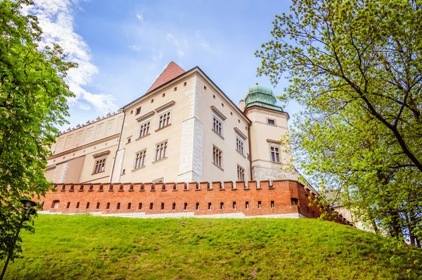 Vista Desde Fondo Del Castillo Medieval Polonia — Foto de Stock