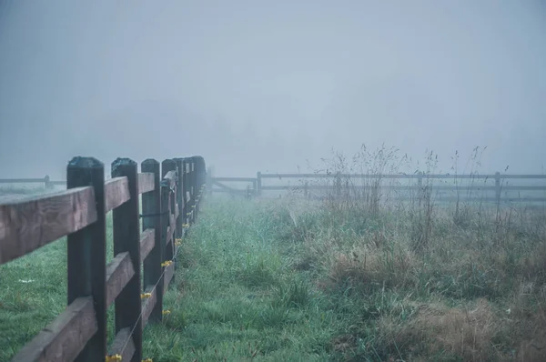 Niebla Profunda Mañana Granja —  Fotos de Stock