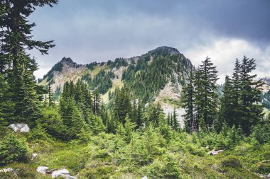 Seattle yakınlarındaki yüksek dağlarda muhteşem manzara