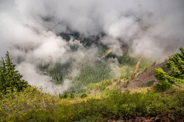 Grüner Wald Tal Unter Den Wolken — Stockfoto