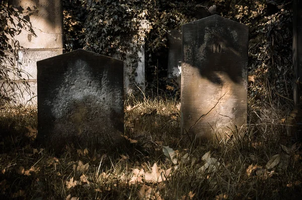 Gölgelerdeki eski mezarlıklar