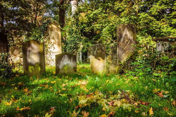 Entombements Anciens Sur Cimetière Abandonné — Photo