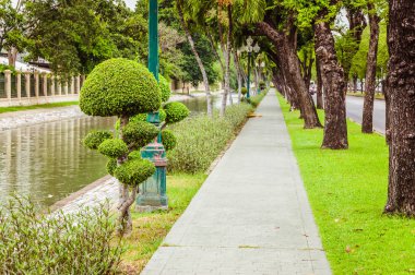 Yeşil çimenler ve çalılarla çevrili dar kaldırımlar