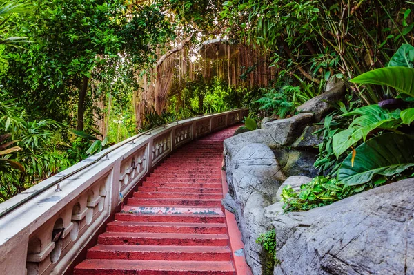 Escadas Vermelhas Floresta Tropical — Fotografia de Stock