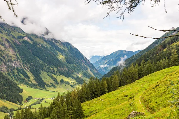 Floresta Verde Grama Cobrindo Alpes Austríacos Com Pequenos Raios Sol — Fotografia de Stock