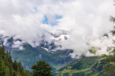 Avusturya Alpleri 'nde dağın tepesini kaplayan kar ve dipte yeşil orman