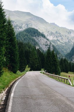İtalyan tarafındaki Dolomite dağlarında ağaçların arasındaki dağ yolu.