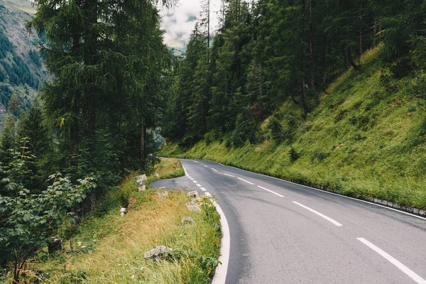 Grossglockner dağ yolu Ormanın ortasında her gece yağmur yağıyor
