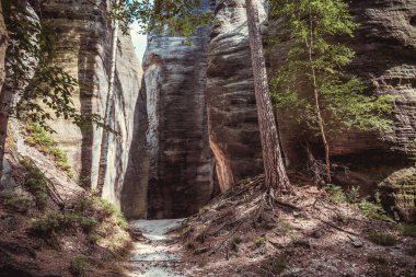 Yazın Avrupa ormanlarının ortasında iki doğal kaya arasındaki dar patika.