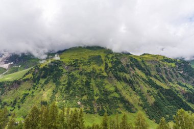Avusturya Alplerinde yeşil bir orman ve çimen dağını kaplayan büyük beyaz bulut