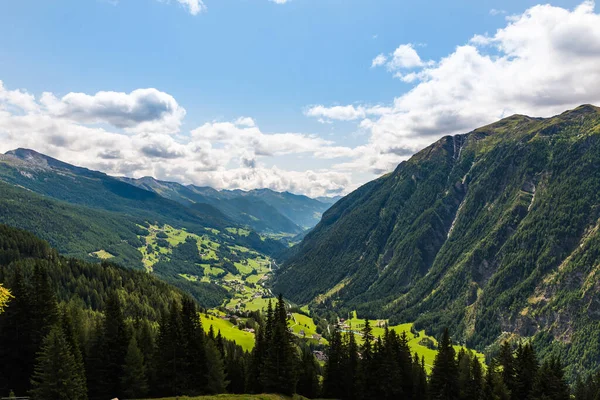 Zielona Trawa Magicznej Doliny Alpach Słoneczny Dzień — Zdjęcie stockowe