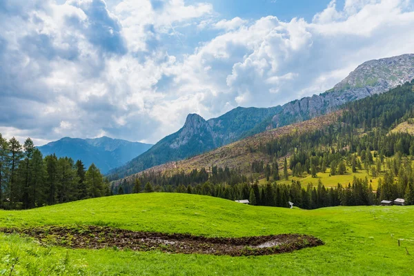 Grama Montanha Verde Dolomitas Italianas — Fotografia de Stock