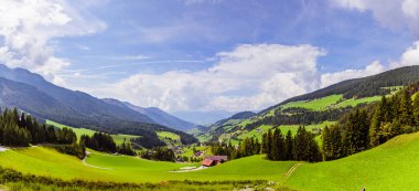 Yeşil otlar ve mavi bulutlu gökyüzü ile güneşli Alp Vadisi manzarası