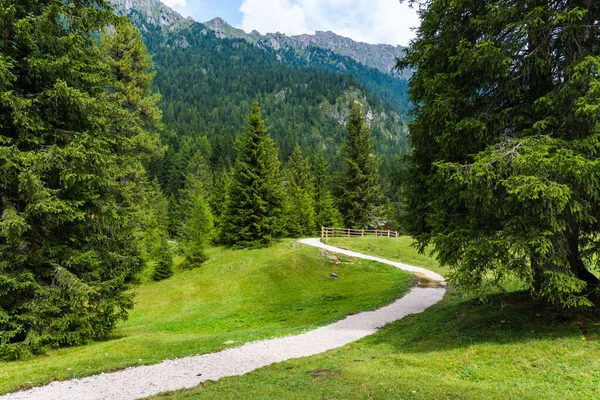 Ścieżka Żwirowa Zielonej Dolinie Pomiędzy Rzeczownikami Dolomitach — Zdjęcie stockowe