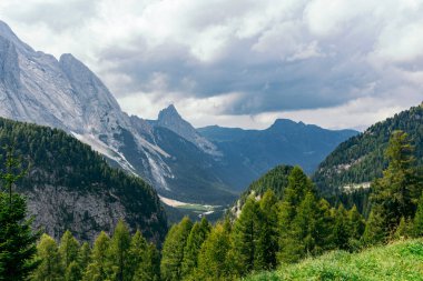 Dolomitler 'de hava bulutlu ve yeşil ormanlar manzaralı.