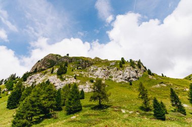 Dağın tepesinde yeşil çimenler ve küçük ağaçlar mavi gökyüzü ve arka planda beyaz bulutlar.