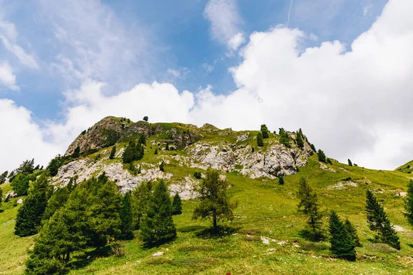 Grama Verde Pequenas Árvores Topo Montanha Com Céu Azul Nuvens — Fotografia de Stock