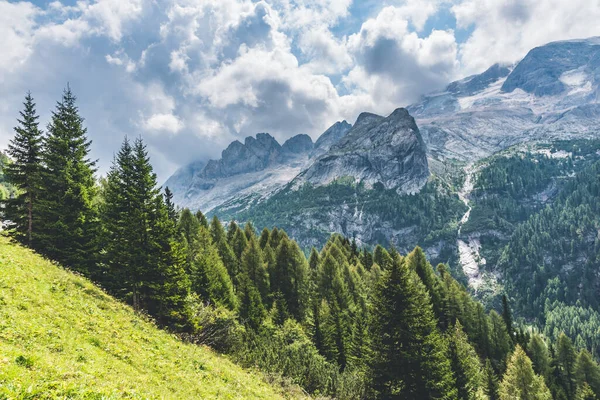 Majestatyczne Dolomity Pod Bardzo Jasnym Niebem Zielonymi Lasami Dole — Zdjęcie stockowe