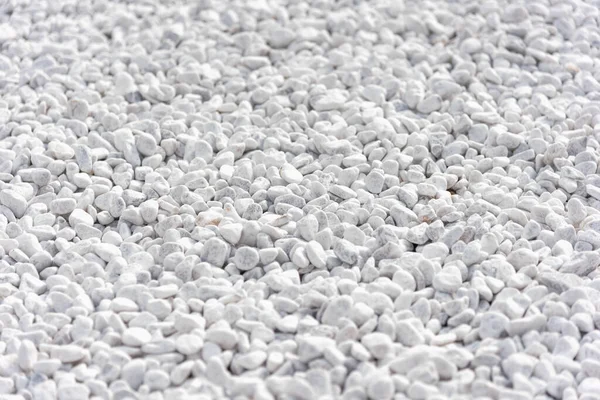 Small white stones on the ground on a close up shot