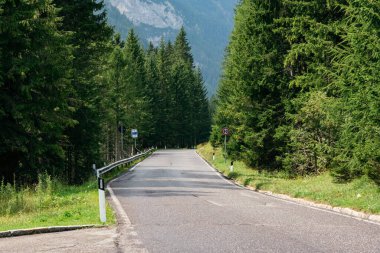 Güneşli bir günde Dolomitlerin ormanlarında dağ yolu
