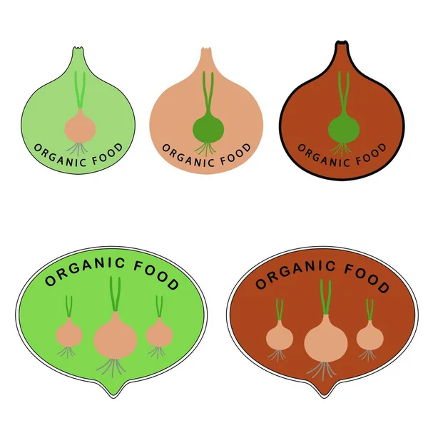 Icono Ilustración Vector Alimentos Orgánicos Conjunto Cebolla — Vector de stock