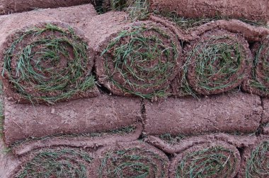 çim çim rulo üst üste yığılmış