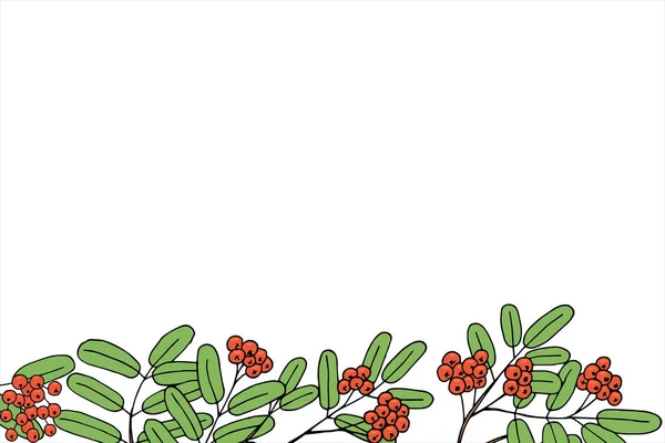 Branches Fruits Rowan Sur Bord Inférieur Taille Carte Illustration Vectorielle — Image vectorielle