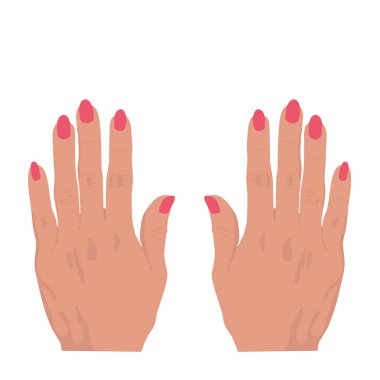 Uzun kırmızı tırnaklı kadın elleri. Vektör çizimi.