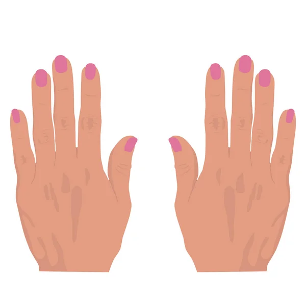 Tangan Wanita Dengan Kuku Merah Muda Ilustrasi Vektor - Stok Vektor