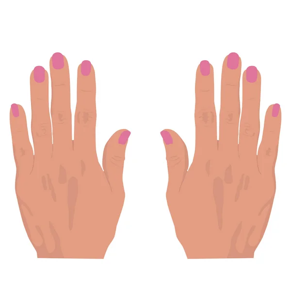 Manos Femeninas Con Uñas Rosas Ilustración Vectorial — Vector de stock