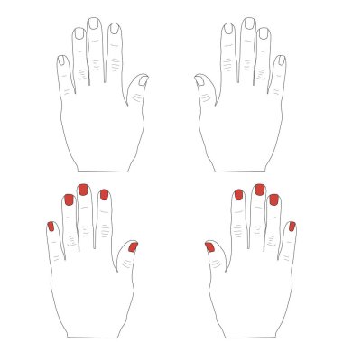 Manikür ile kadın ellerinin kontur. Tırnaklar kırmızı vernikle boyanmış. Vektör çizimi.