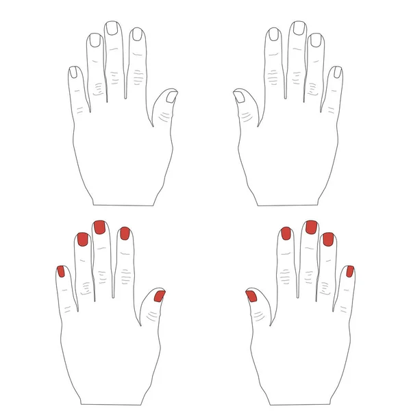 Contorno Mãos Mulher Com Manicura Dedos Pintados Verniz Vermelho Ilustração — Vetor de Stock