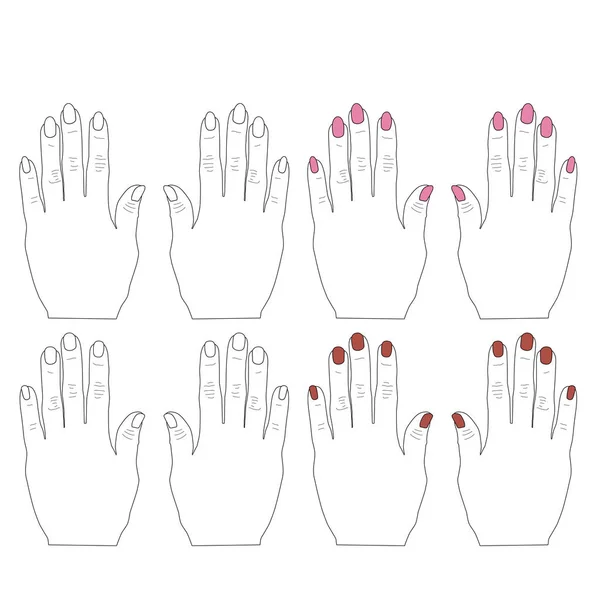 Kontur Kvinnlig Hand Med Långa Naglar Vektor Illustration — Stock vektor