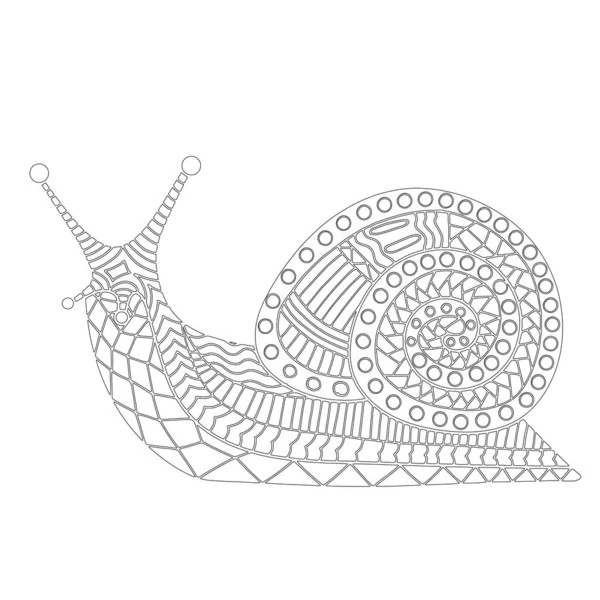 Mollusc Snail Coloring Page Contour Vector Illustration Children Adults — Stock Vector