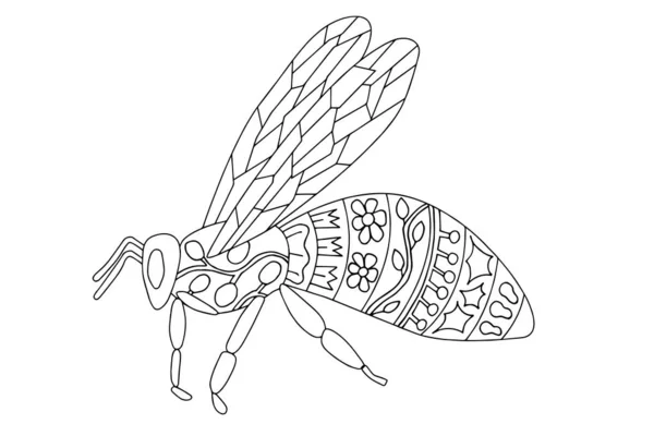 Pszczoła Kolorowanki Strony Widok Strony Malowania Wektor Ilustracji — Wektor stockowy
