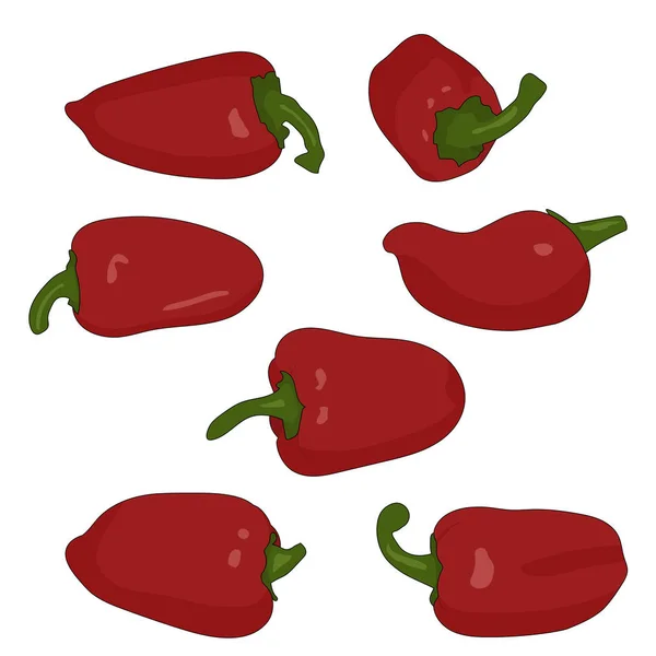 Rote Paprika Mit Schlaganfall Vektor Illustration — Stockvektor