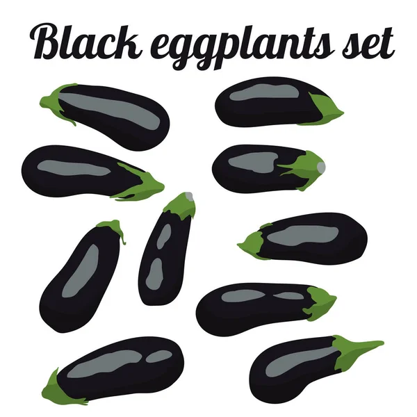 Ensemble Aubergines Noires Illustration Vectorielle Eps — Image vectorielle