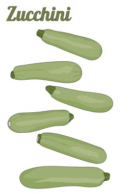 Siyah çizgili yeşil kabak çizimi