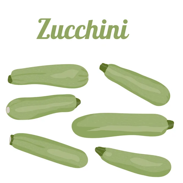 Grüne Zucchini Set Vektor Illustration Eps — Stockvektor